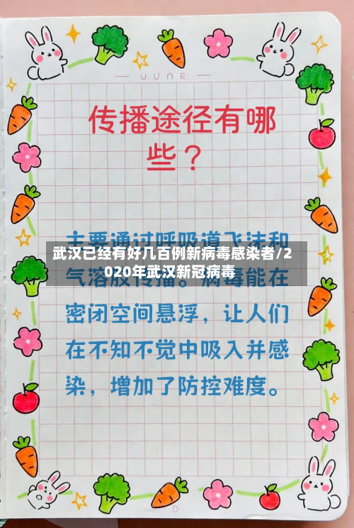 武汉已经有好几百例新病毒感染者/2020年武汉新冠病毒-第3张图片
