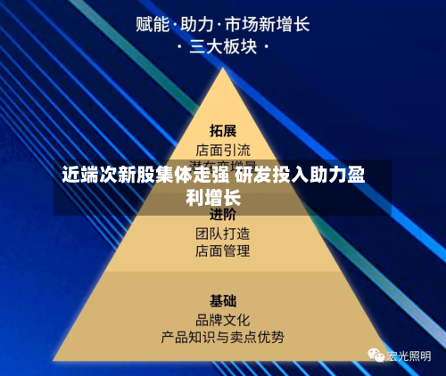 近端次新股集体走强 研发投入助力盈利增长-第3张图片