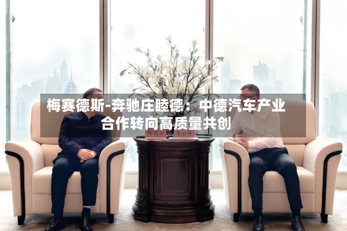 梅赛德斯-奔驰庄睦德:中德汽车产业合作转向高质量共创-第2张图片