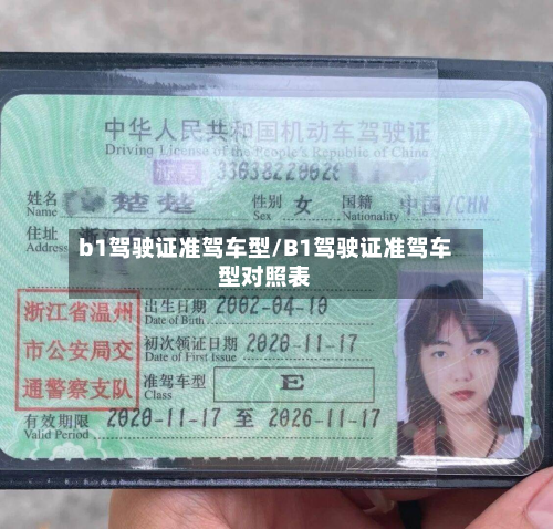 b1驾驶证准驾车型/B1驾驶证准驾车型对照表