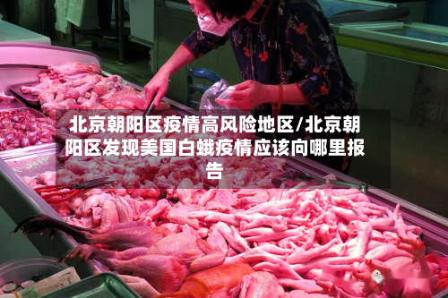 北京朝阳区疫情高风险地区/北京朝阳区发现美国白蛾疫情应该向哪里报告-第2张图片