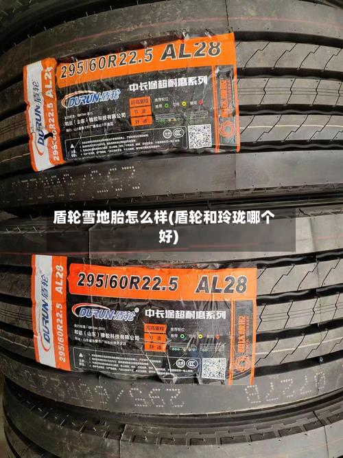盾轮雪地胎怎么样(盾轮和玲珑哪个好)-第2张图片