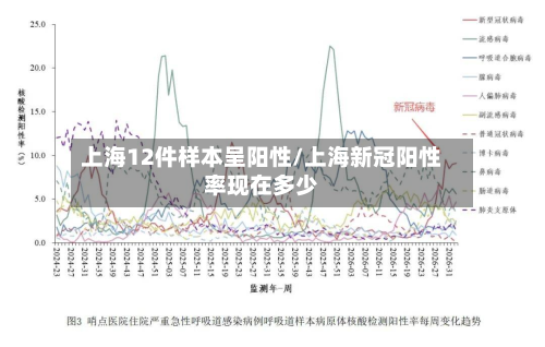 上海12件样本呈阳性/上海新冠阳性率现在多少