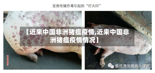 【近来中国非洲猪瘟疫情,近来中国非洲猪瘟疫情情况】