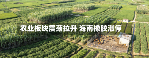 农业板块震荡拉升 海南橡胶涨停-第2张图片