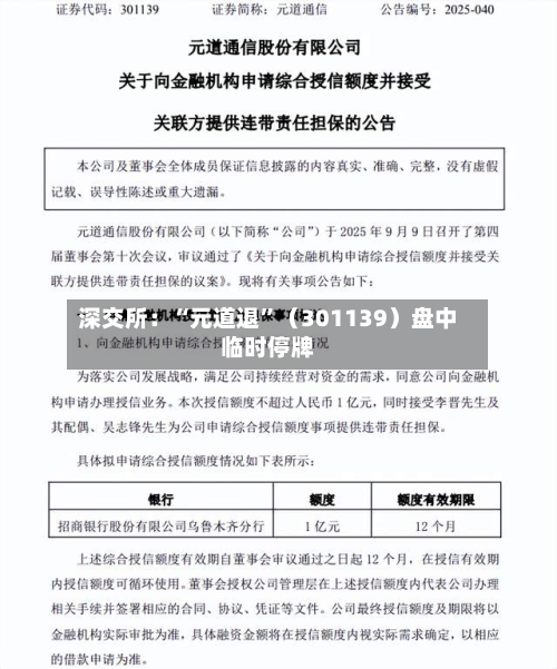 深交所：“元道退”（301139）盘中临时停牌-第3张图片