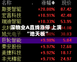 深物业A直线涨停 上演“地天板”-第3张图片