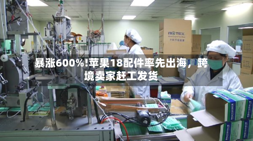 暴涨600%!苹果18配件率先出海	，跨境卖家赶工发货-第3张图片