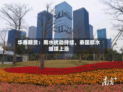 华泰期货：雨水扰动持续	，泰国胶水继续上涨-第1张图片