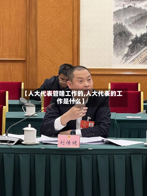 【人大代表管啥工作的,人大代表的工作是什么】-第2张图片