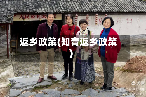 返乡政策(知青返乡政策)