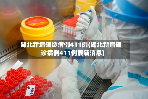 湖北新增确诊病例411例(湖北新增确诊病例411例最新消息)-第2张图片