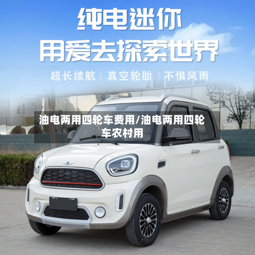 油电两用四轮车费用/油电两用四轮车农村用-第2张图片