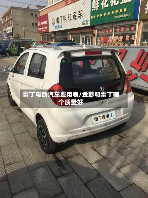 雷丁电动汽车费用表/金彭和雷丁哪个质量好