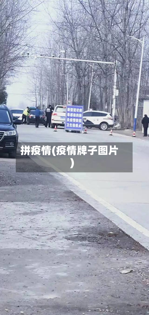 拼疫情(疫情牌子图片)