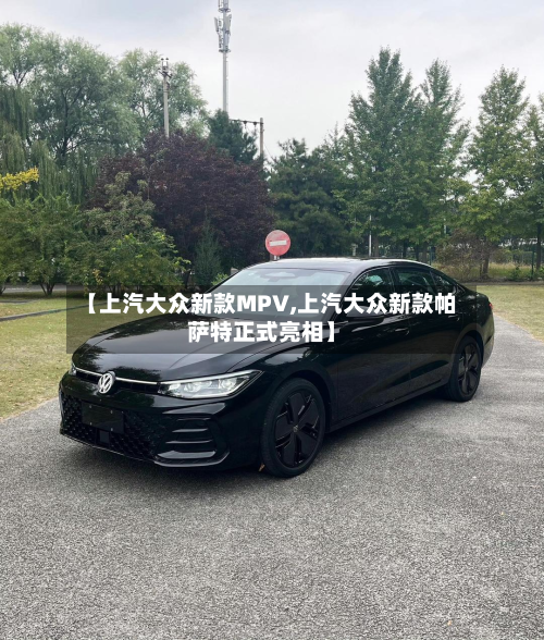 【上汽大众新款MPV,上汽大众新款帕萨特正式亮相】-第2张图片
