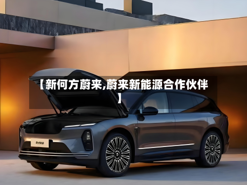 【新何方蔚来,蔚来新能源合作伙伴】-第2张图片