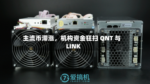 主流币滞涨，机构资金狂扫 QNT 与 LINK