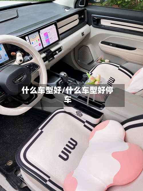 什么车型好/什么车型好停车-第3张图片