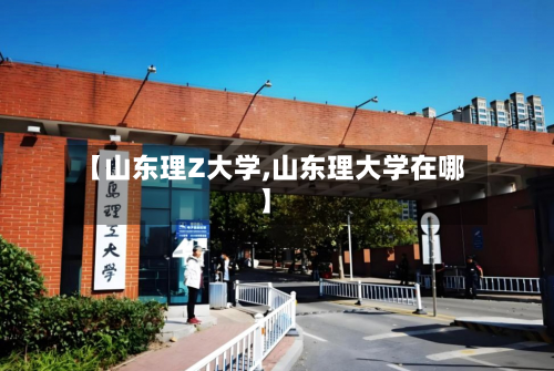 【山东理Z大学,山东理大学在哪】-第2张图片