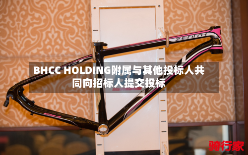 BHCC HOLDING附属与其他投标人共同向招标人提交投标-第1张图片
