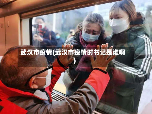 武汉市疫情(武汉市疫情时书记是谁啊)-第3张图片