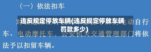 违反规定停放车辆(违反规定停放车辆罚款多少)-第2张图片