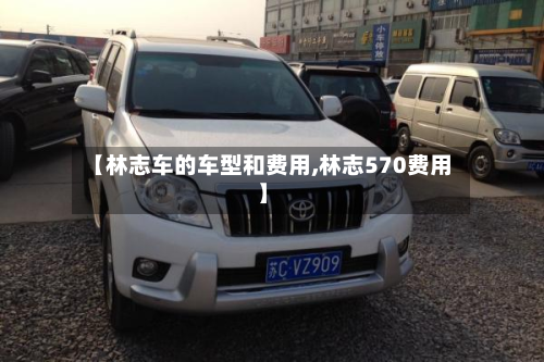 【林志车的车型和费用,林志570费用】-第2张图片
