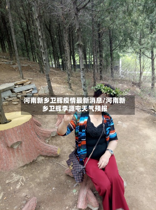 河南新乡卫辉疫情最新消息/河南新乡卫辉李源屯天气预报-第2张图片