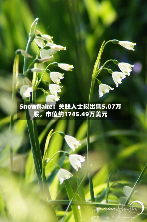 Snowflake：关联人士拟出售5.07万股	，市值约1745.49万美元-第2张图片