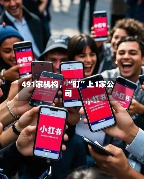 491家机构，“盯”上1家公司-第2张图片