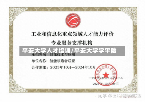 平安大学人才培训/平安大学学平险