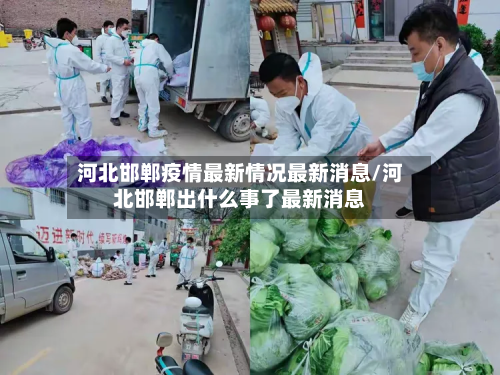 河北邯郸疫情最新情况最新消息/河北邯郸出什么事了最新消息