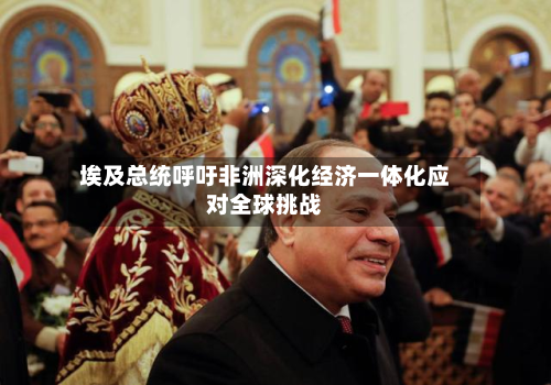 埃及总统呼吁非洲深化经济一体化应对全球挑战