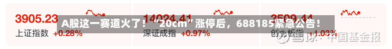 A股这一赛道火了！“20cm”涨停后，688185紧急公告！-第1张图片