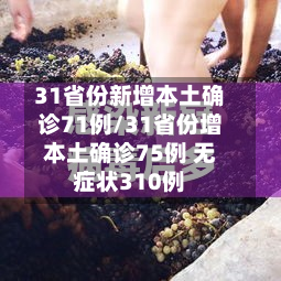 31省份新增本土确诊71例/31省份增本土确诊75例 无症状310例