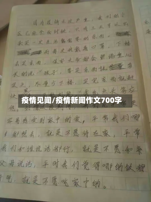 疫情见闻/疫情新闻作文700字-第2张图片