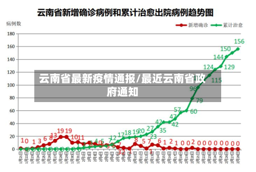 云南省最新疫情通报/最近云南省政府通知-第3张图片