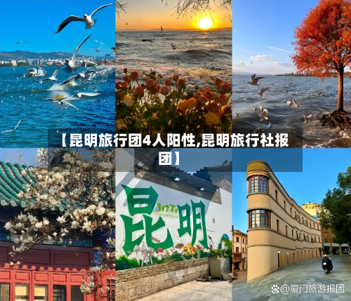 【昆明旅行团4人阳性,昆明旅行社报团】-第2张图片