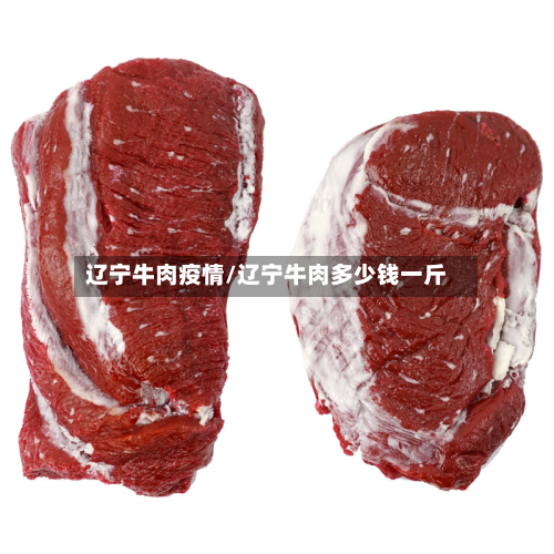 辽宁牛肉疫情/辽宁牛肉多少钱一斤-第2张图片