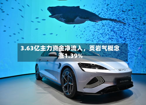 3.63亿主力资金净流入	，页岩气概念涨1.39%-第2张图片