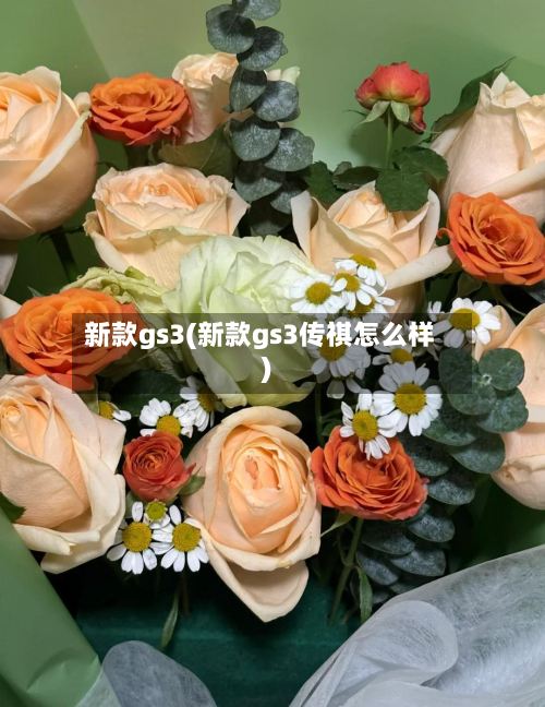 新款gs3(新款gs3传祺怎么样)