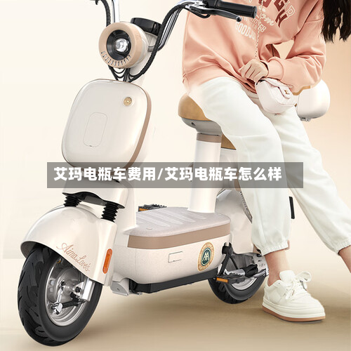 艾玛电瓶车费用/艾玛电瓶车怎么样-第2张图片