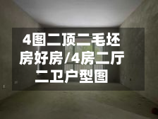 4图二顶二毛坯房好房/4房二厅二卫户型图