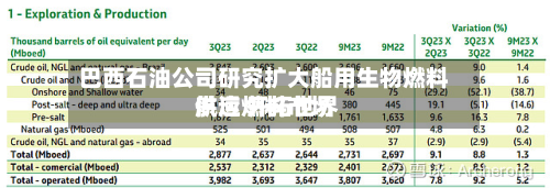 巴西石油公司研究扩大船用生物燃料供应 开拓世界航运燃料市场