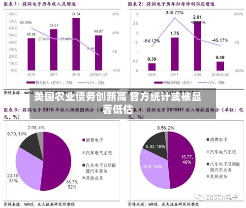 美国农业债务创新高 官方统计或被显著低估-第2张图片