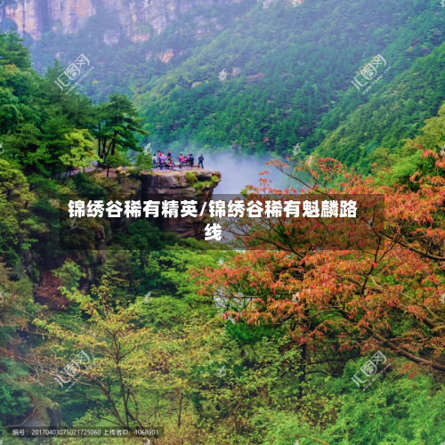 锦绣谷稀有精英/锦绣谷稀有魁麟路线
