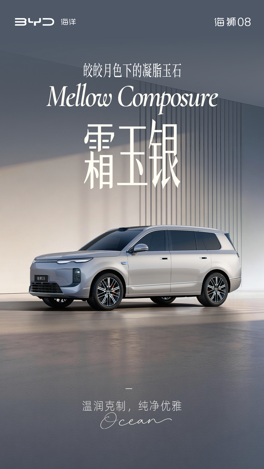 定位海洋旗舰 SUV，比亚迪公布海狮 08 多款高定车色
