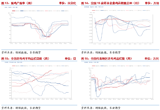 长安期货梁安迪：强现实弱预期博弈	，鸡蛋市场多空分歧加剧