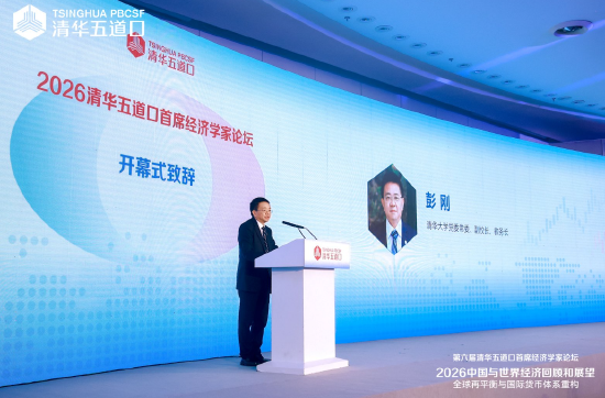 清华大学彭刚：推动人民币国际化、积极参与全球金融治理改革	，是加快建设金融强国应有之义